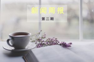 新闻周报（第二期）