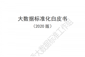 大数据标准化白皮书（2020版）