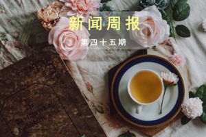 新闻周报（第四十五期）