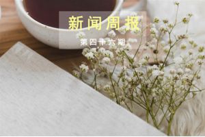 新闻周报（第四十六期）