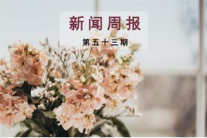 新闻周报（第五十三期）