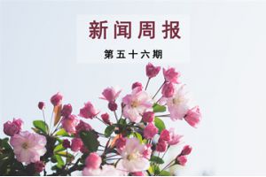 新闻周报（第五十六期）