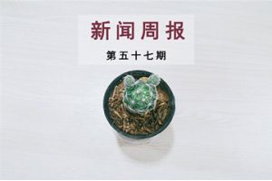新闻周报（第五十七期）