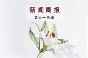 新闻周报（第六十四期）