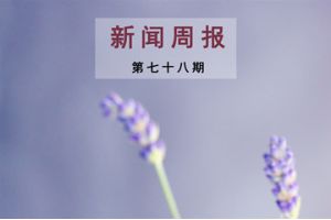 新闻周报（第七十八期）