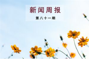 新闻周报（第八十一期）