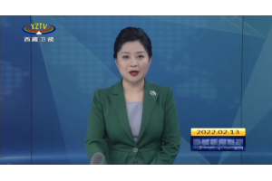 【视频新闻】西藏拉萨本月起统一使用社保卡发放社保 补贴和工资
