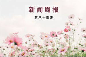 新闻周报（第八十四期）