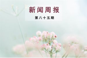 新闻周报（第八十五期）