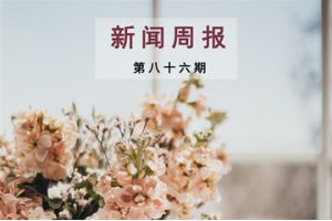 新闻周报（第八十六期）
