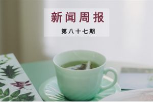 新闻周报（第八十七期）