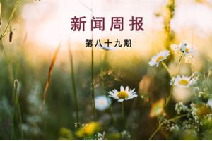 新闻周报（第八十九期）