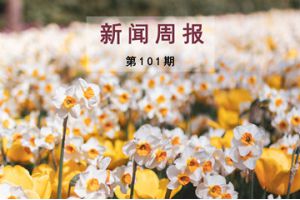 新闻周报（第101期）