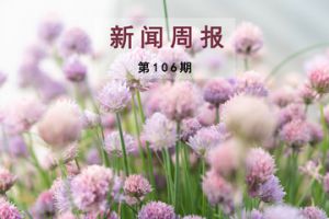 新闻周报（第106期）