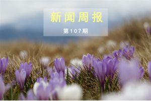 新闻周报（第107期）