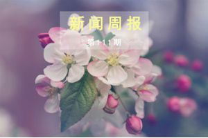 新闻周报（第111期）