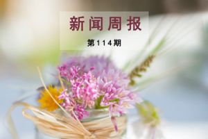 新闻周报（第114期）