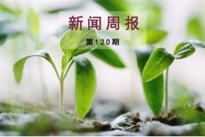 新闻周报（第120期）