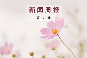 新闻周报（第121期）