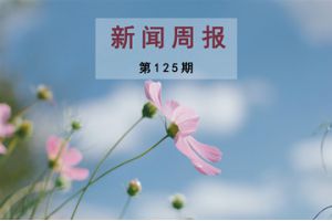 新闻周报（第125期）