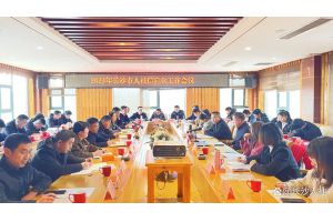 【图片新闻】2023年湖南长沙市人社信息化工作会议召开