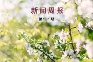 新闻周报（第131期）
