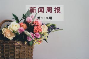 新闻周报（第133期）