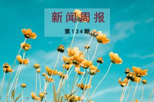 新闻周报（第134期）