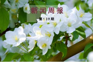 新闻周报（第139期）