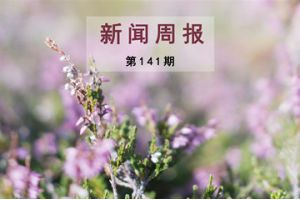 新闻周报（第141期）