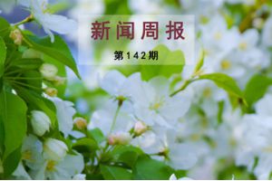 新闻周报（第142期）