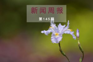 新闻周报（第145期）