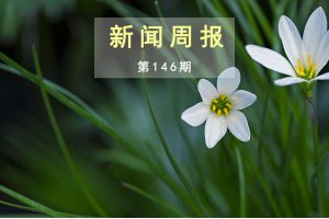 新闻周报（第146期）