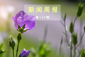 新闻周报（第147期）