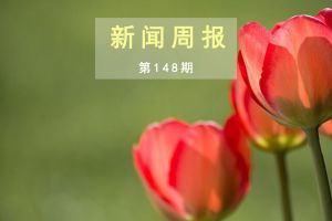 新闻周报（第148期）