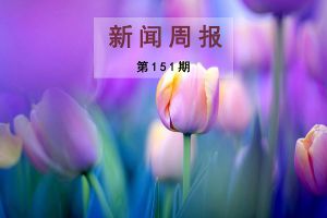 新闻周报（第151期）