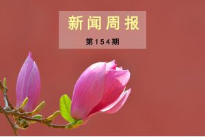 新闻周报（第154期）