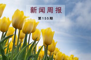 新闻周报（第155期）