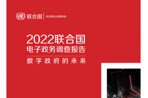 2022联合国电子政务调查报告 (全文)