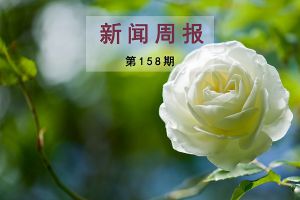 新闻周报（第158期）