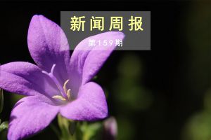 新闻周报（第159期）