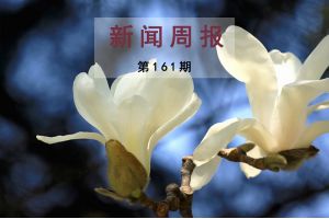 新闻周报（第161期）