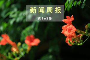 新闻周报（第162期）