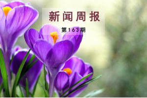 新闻周报（第163期）