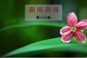 新闻周报（第164期）