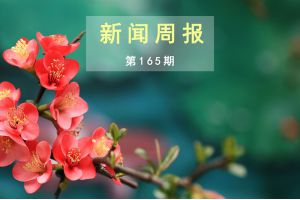 新闻周报（第165期）