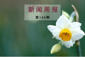 新闻周报（第166期）