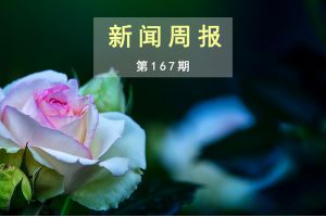 新闻周报（第167期）