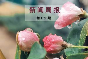 新闻周报（第170期）