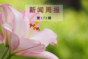 新闻周报（第172期）